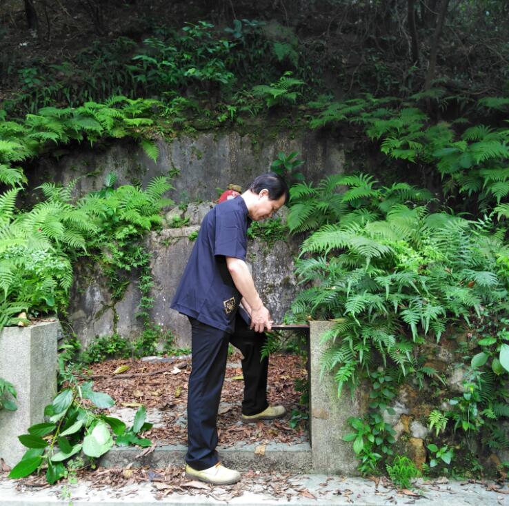 阴宅坟墓风水案例